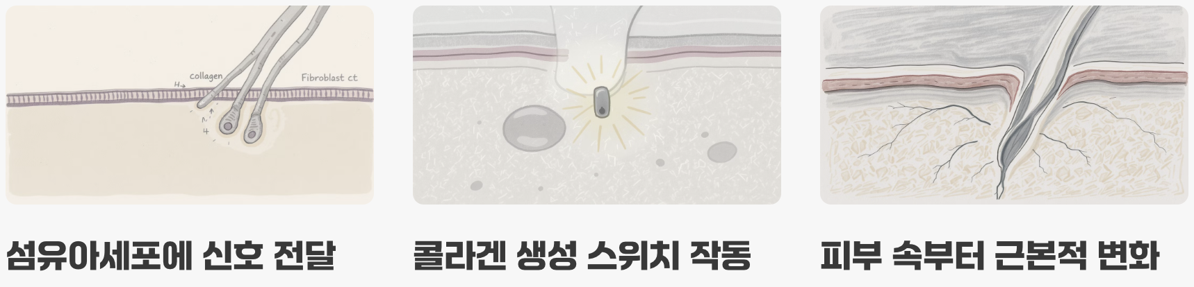 3. 단순한 재료 공급을 넘어 '신호'를 보내다