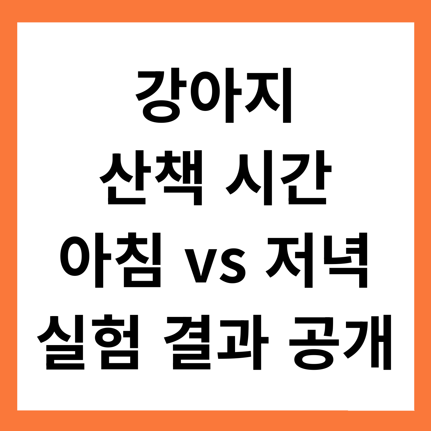 강아지 산책 시간, 아침·저녁 언제가 더 좋을까? 실험 결과 공개