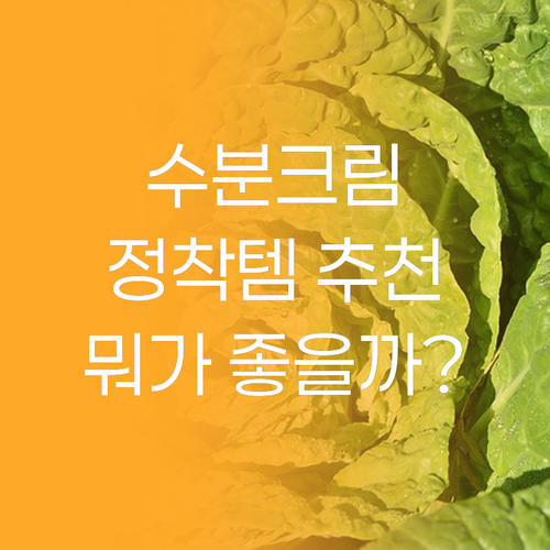 수분크림 유목민 정착템 추천! 록키스..