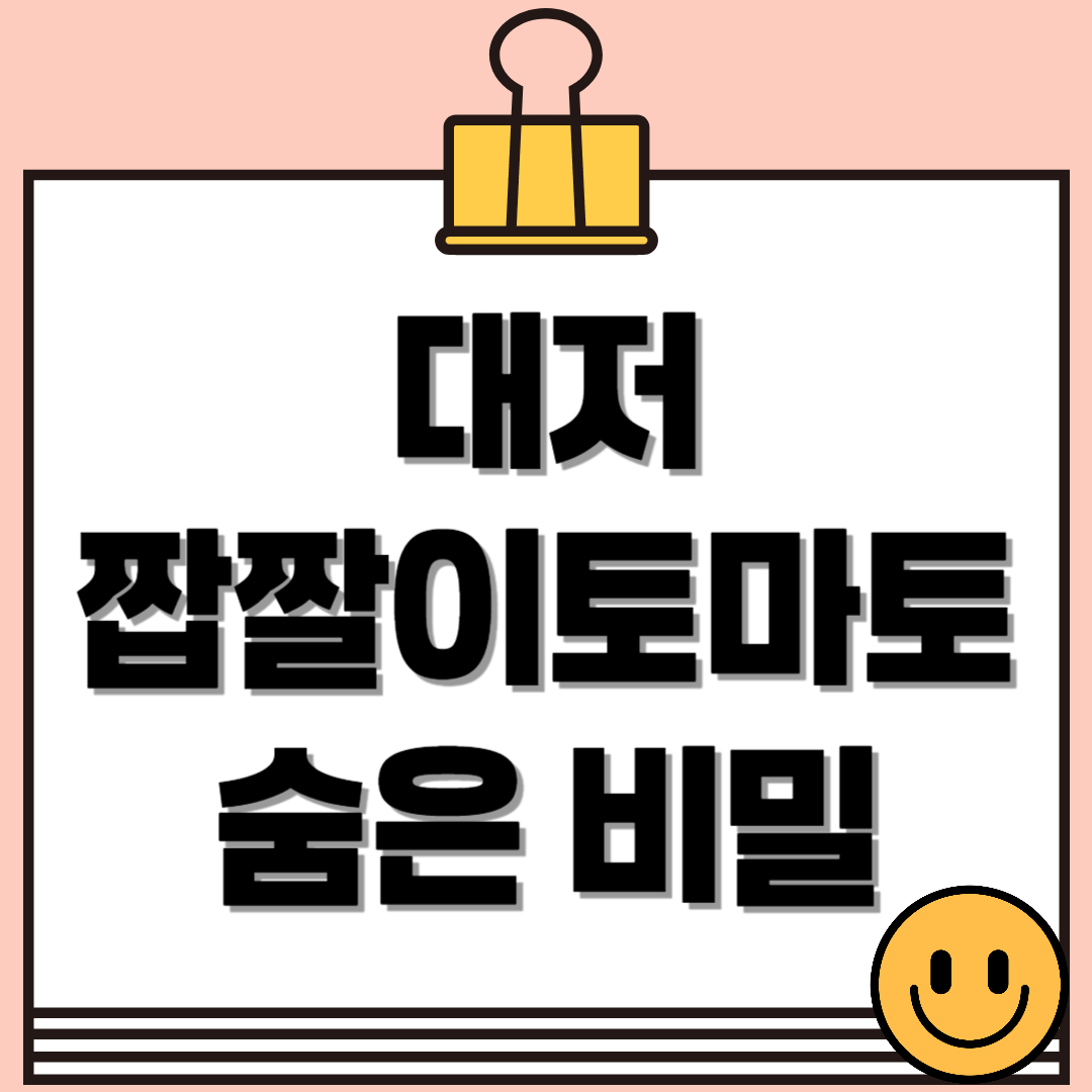 부산의 명물 대저짭짤이토마토 효능, 칼로리, 제철 시기까지 총정리