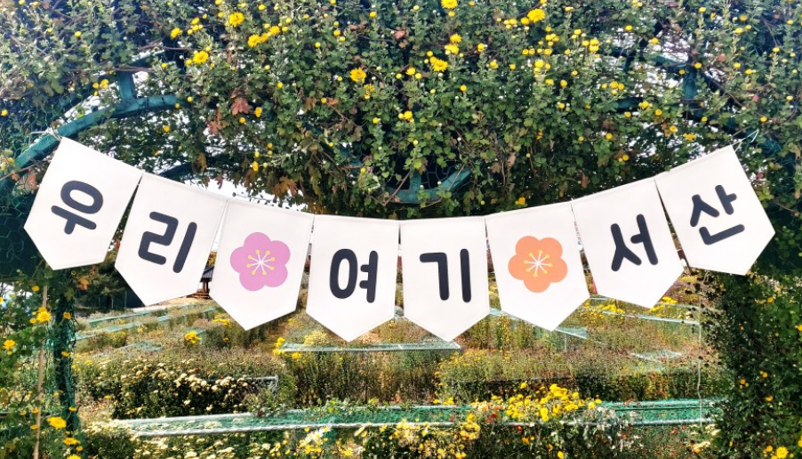 2023 서산 국화축제