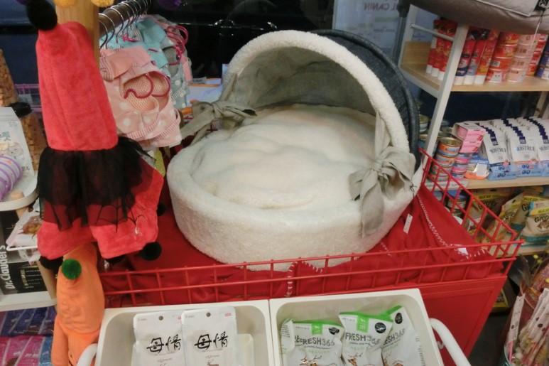 로얄캐닌 전문판매점 잠실 애완용품샵 디자인바이펫