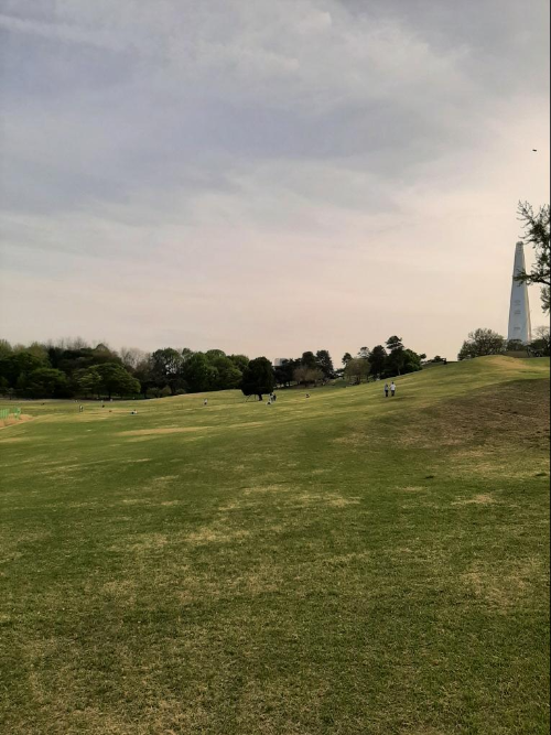 Wide lawn path at Olympic Park, a popular spot for barefoot walking / 부드러운 잔디가 펼쳐진 올림픽공원 산책로 풍경, 맨발 걷기 명소