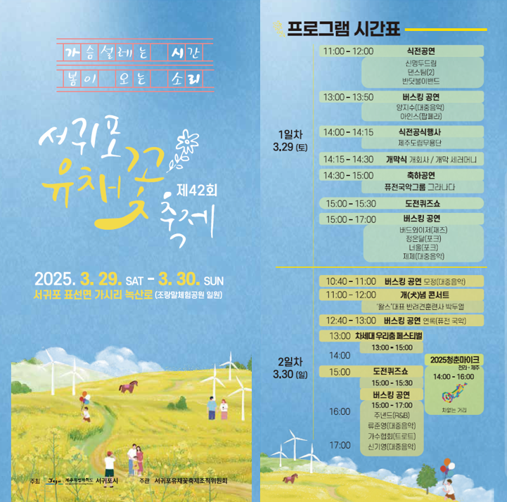 유채꽃 축제 일정 팜플렛