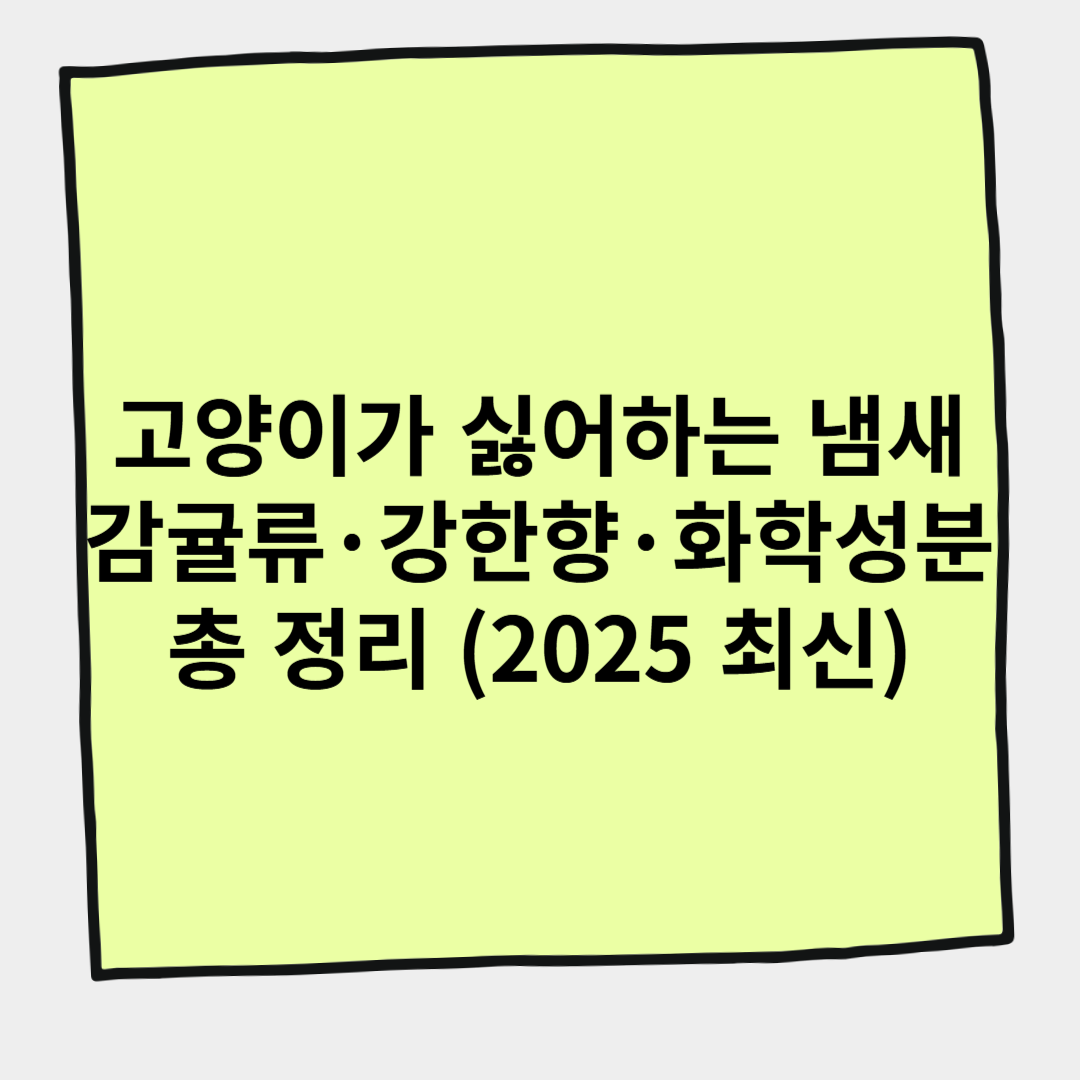 고양이가 싫어하는 냄새 – 감귤류·강한 향·화학성분 총 정리 (2025 최신)