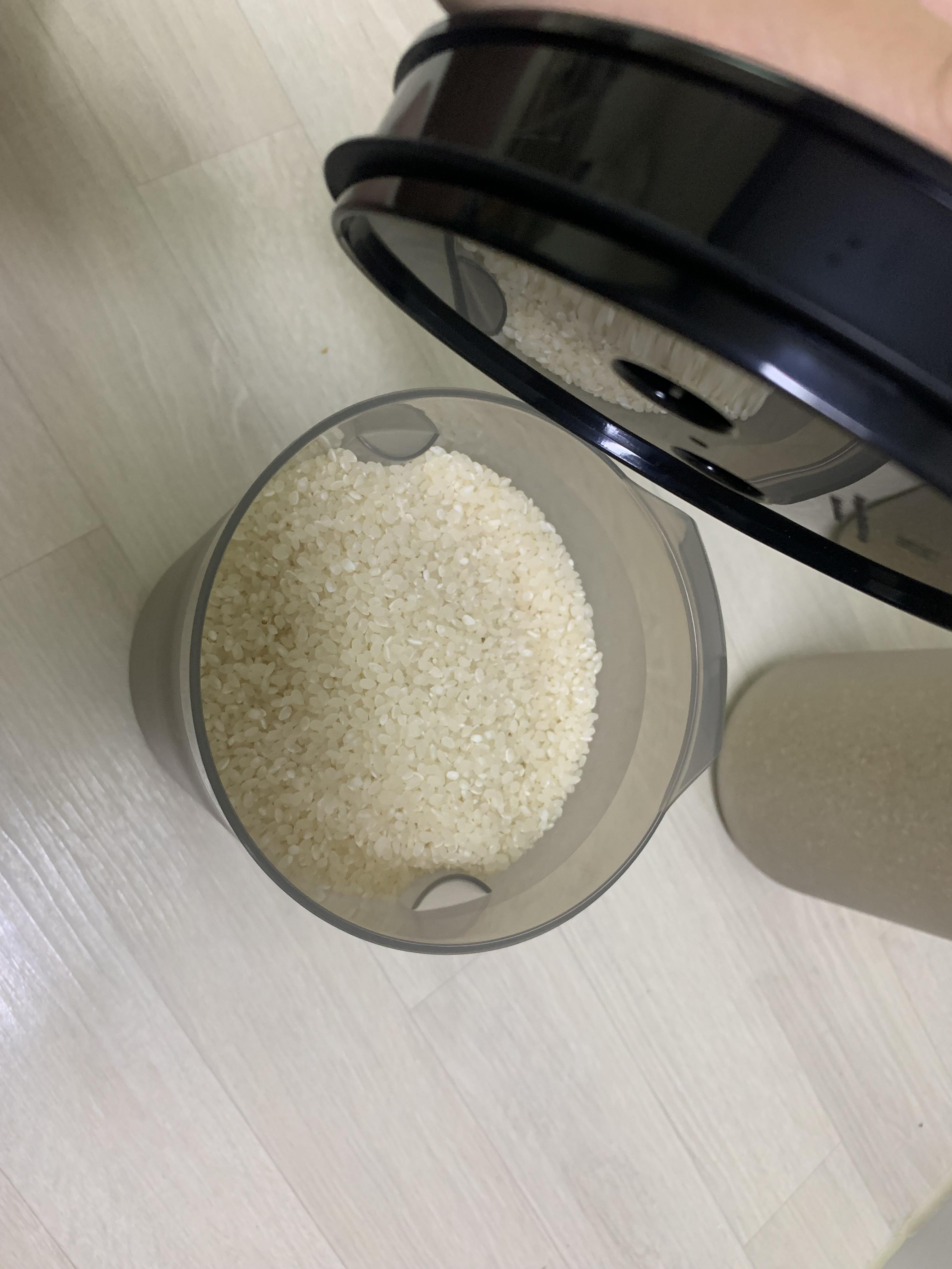 쌀통 추천