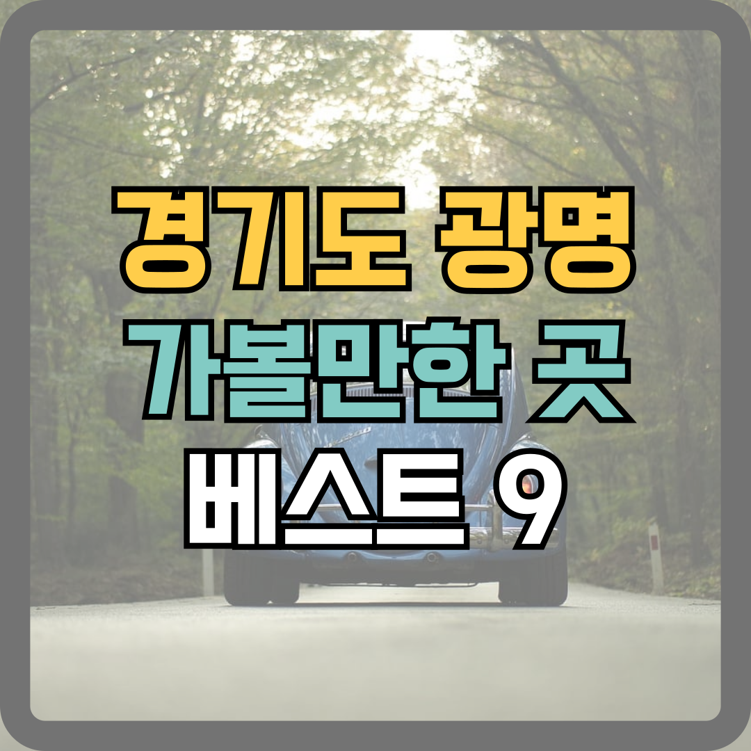 광명 베스트9
