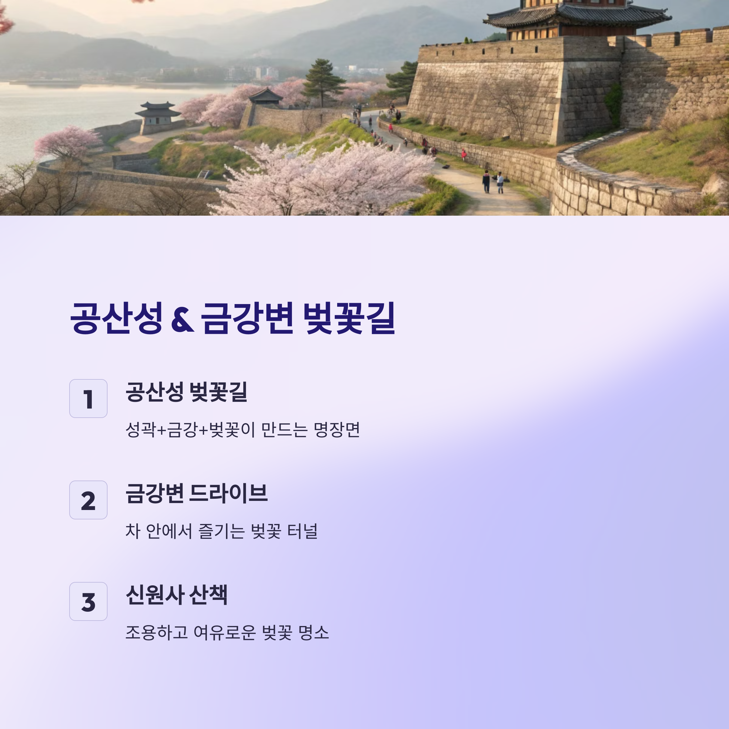 공산성 &amp; 금강변 벚꽃길 걷기