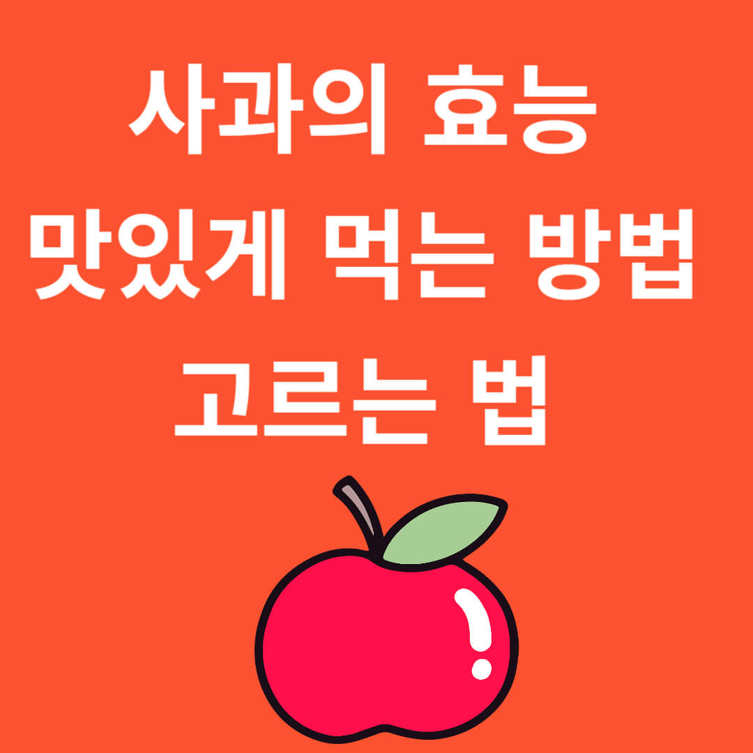 사과의 효능과 맛있게 먹는 법&#44; 선택하는 방법의 이해