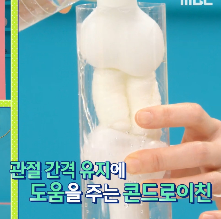 콘드로이친 효능