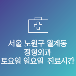 서울 노원구 월계동 정형외과 주말 토요일 일요일 문여는 병원 진료시간