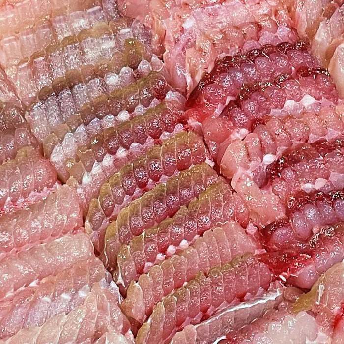 생생정보 전남 흑산도 전국 택배 주문 홍어회 맛집