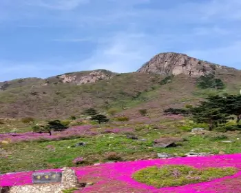 황매산 철쭉축제_13