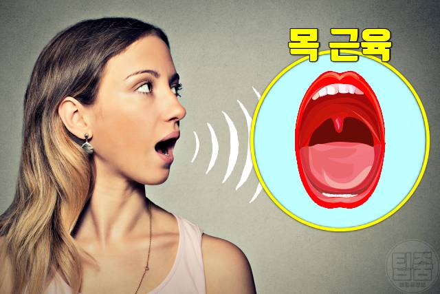 코골이 고치는법 노래 목운동 코골이방지 수술 치료