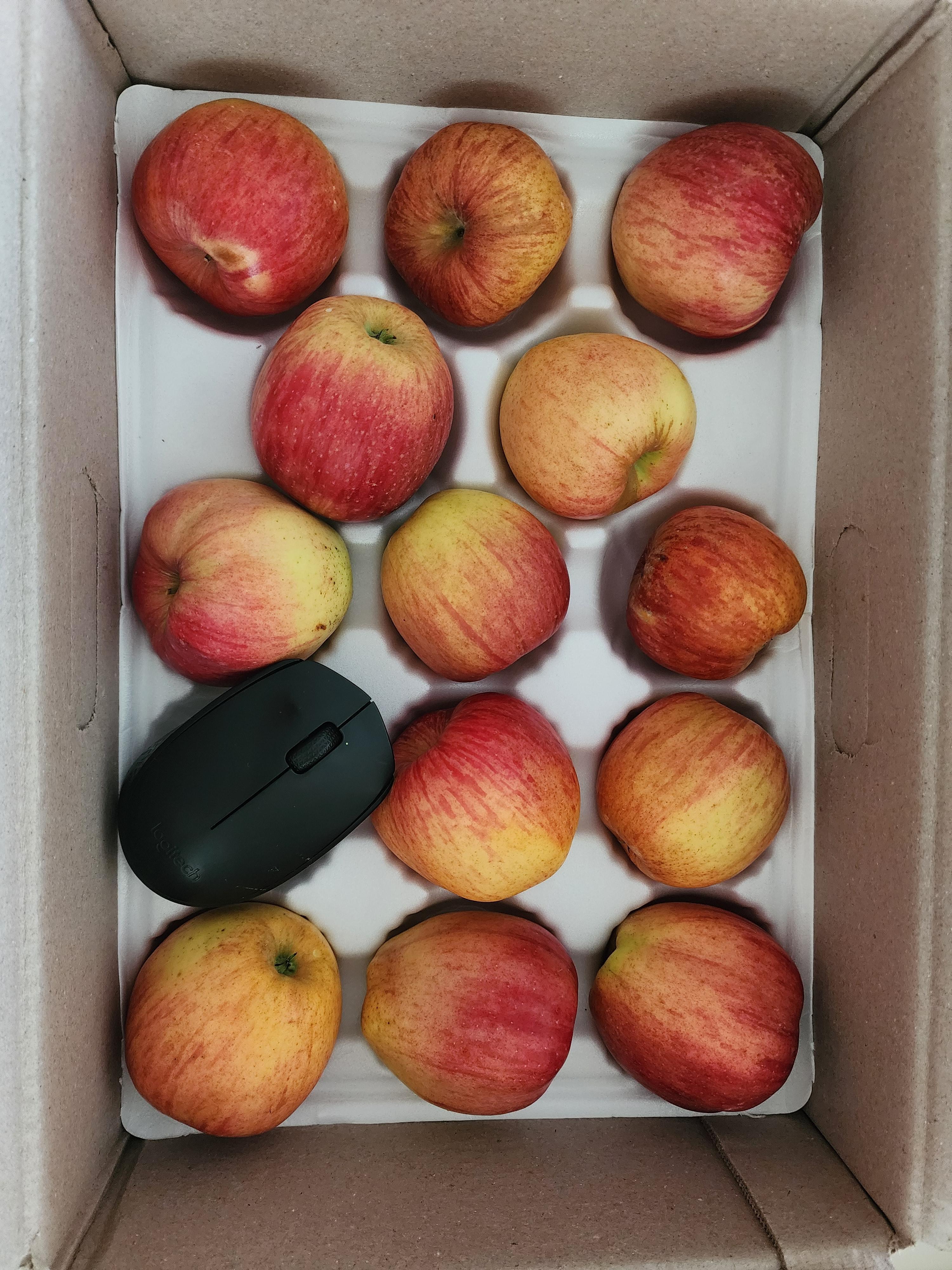 사과박스안에 사과들