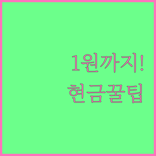 소멸 예정 카드 포인트 1원까지 현금..