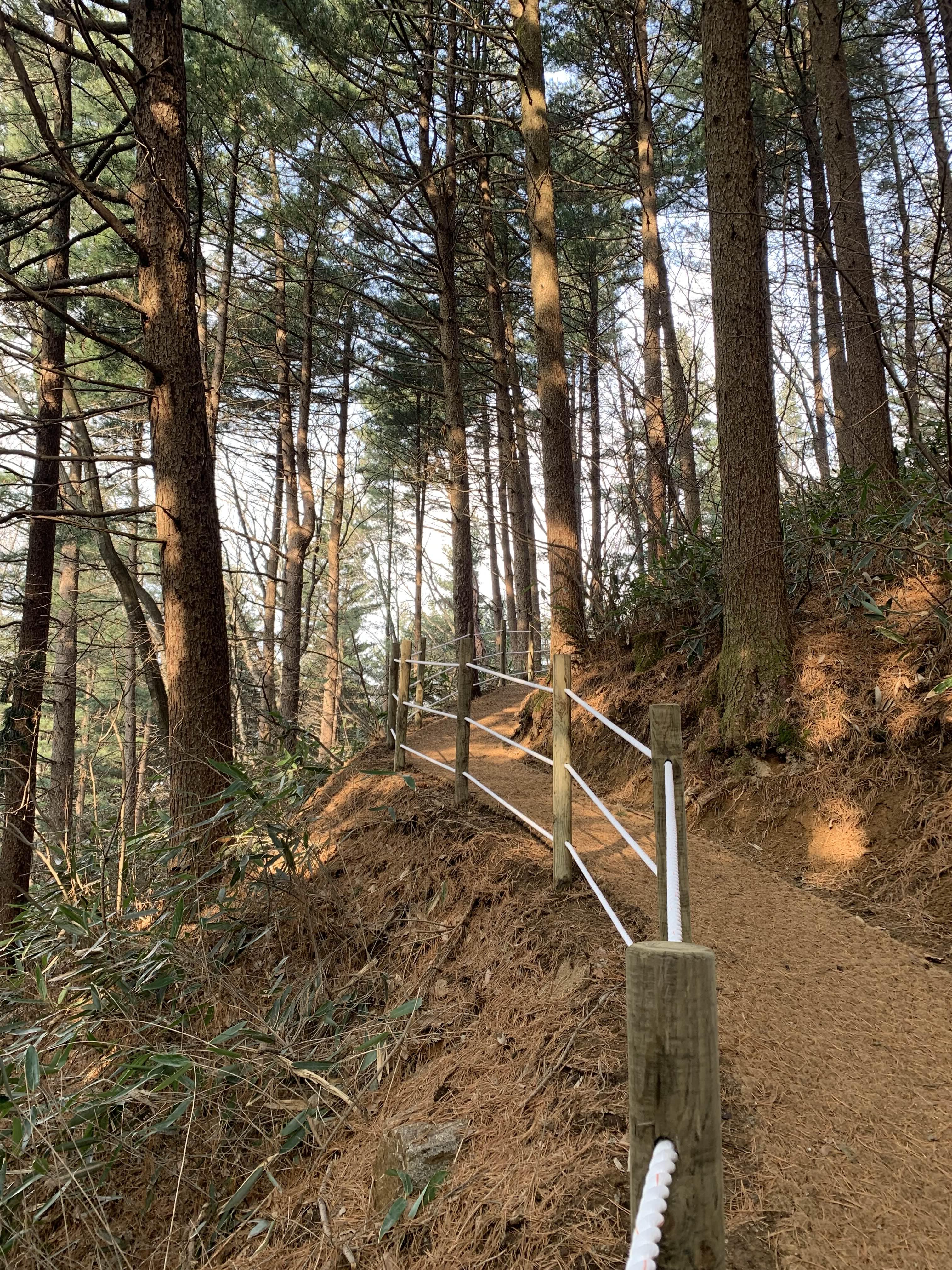 횡성 여행 청태산 자연휴양림