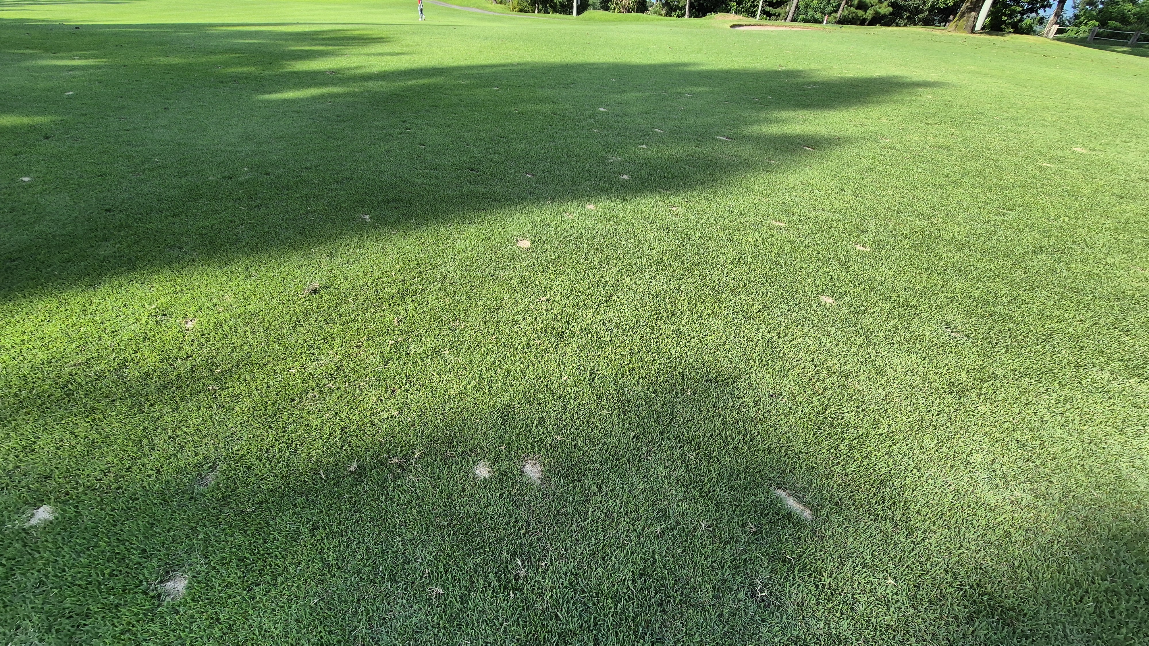 골프존카운티 화랑 라운드 후기