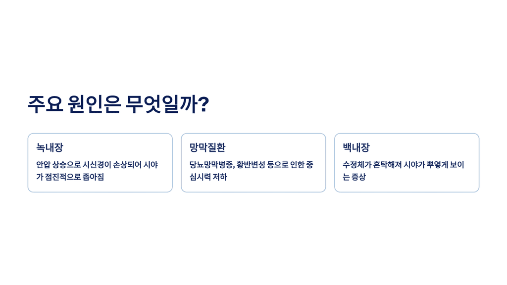 주요 원인은 무엇일까?