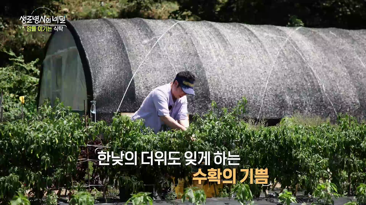 생로병사의 비밀 암을 이기는 식탁