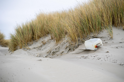 플라스틱 오염의 심각성과 해결의 필요성