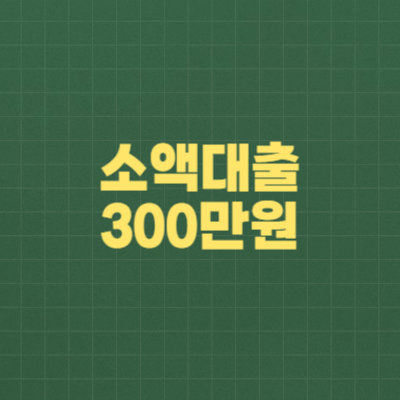 소액대출 300만원 확인하기