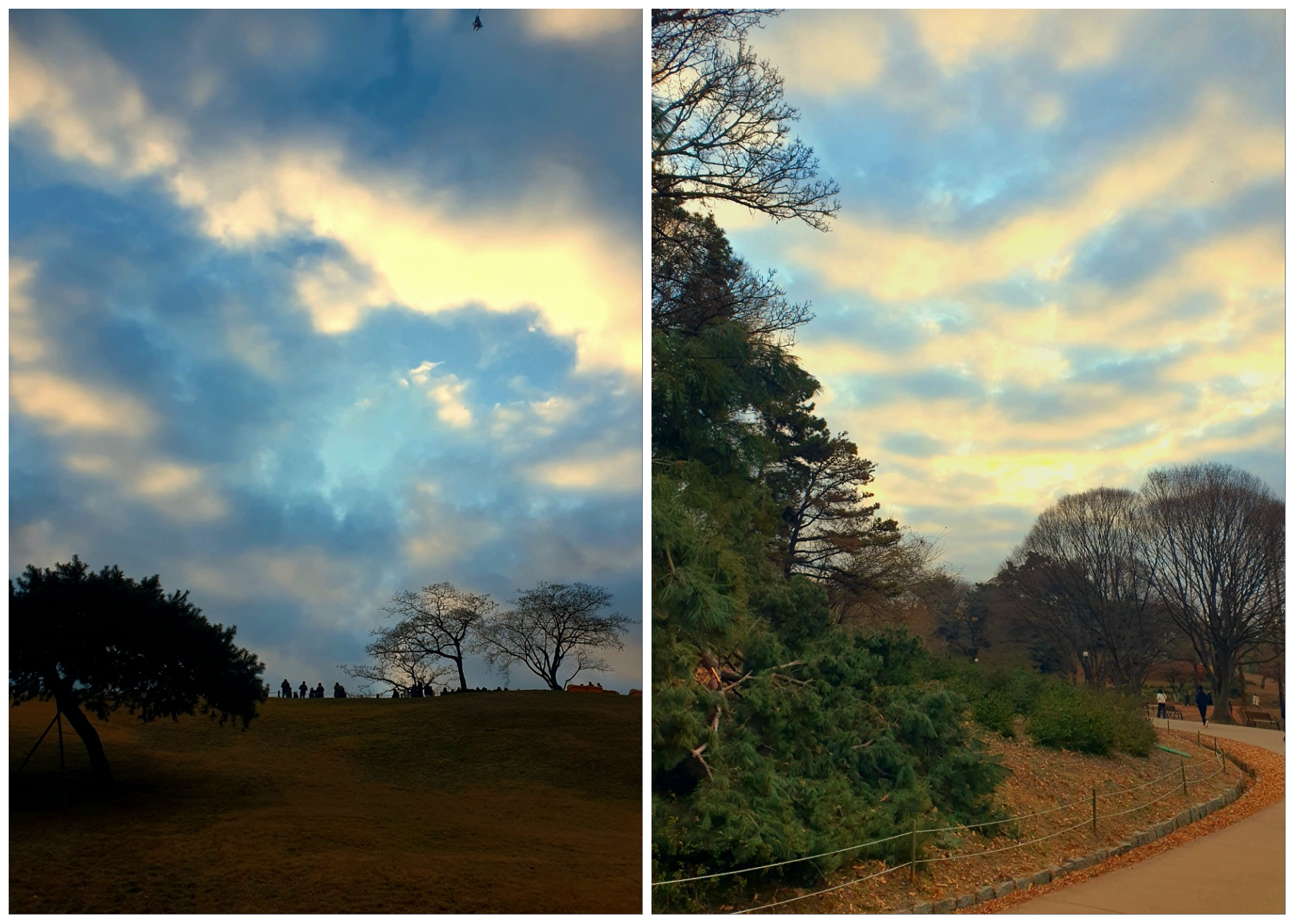 구름-사이로-해가-보였어요.