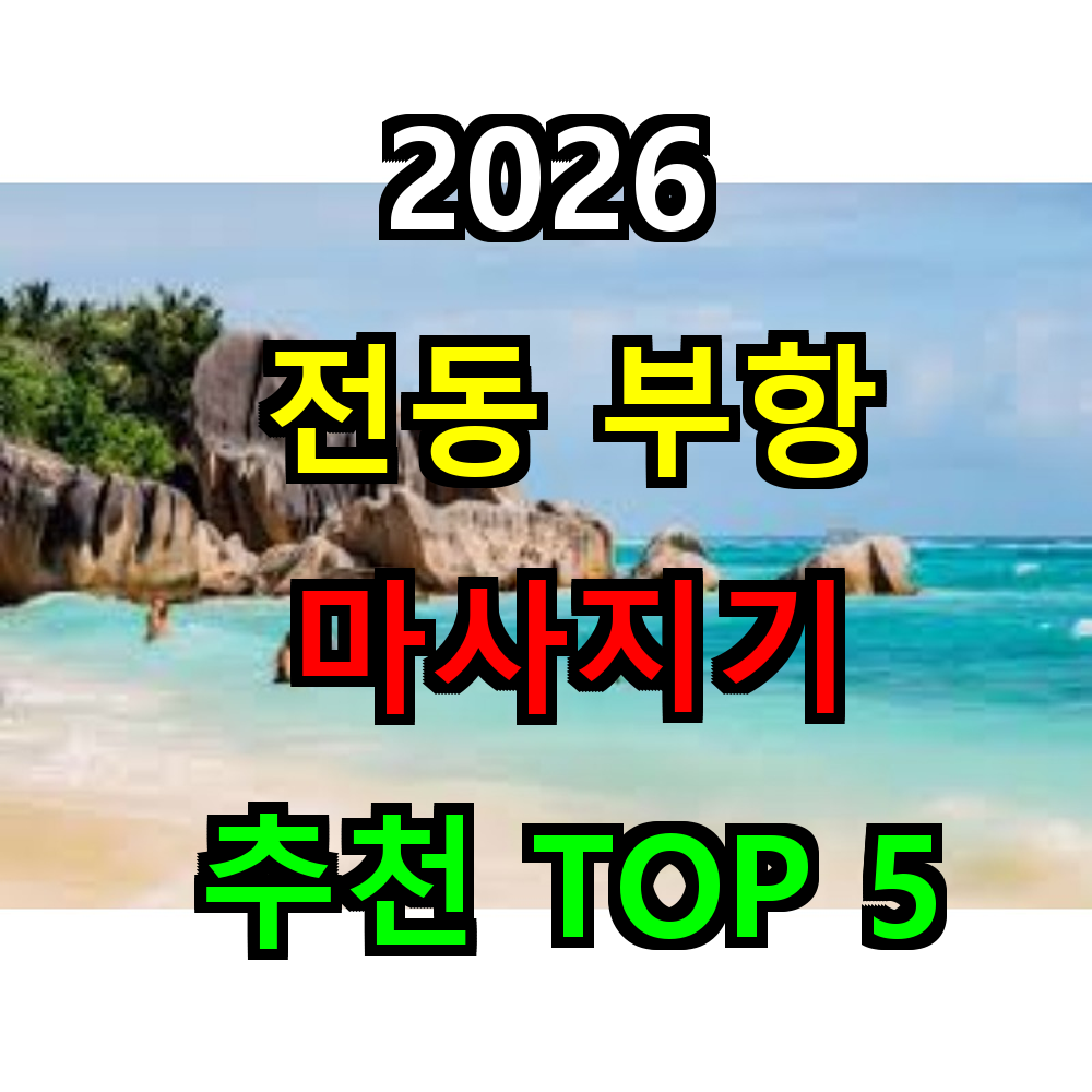 2026 전동 부항 마사지기 추천 TOP 5