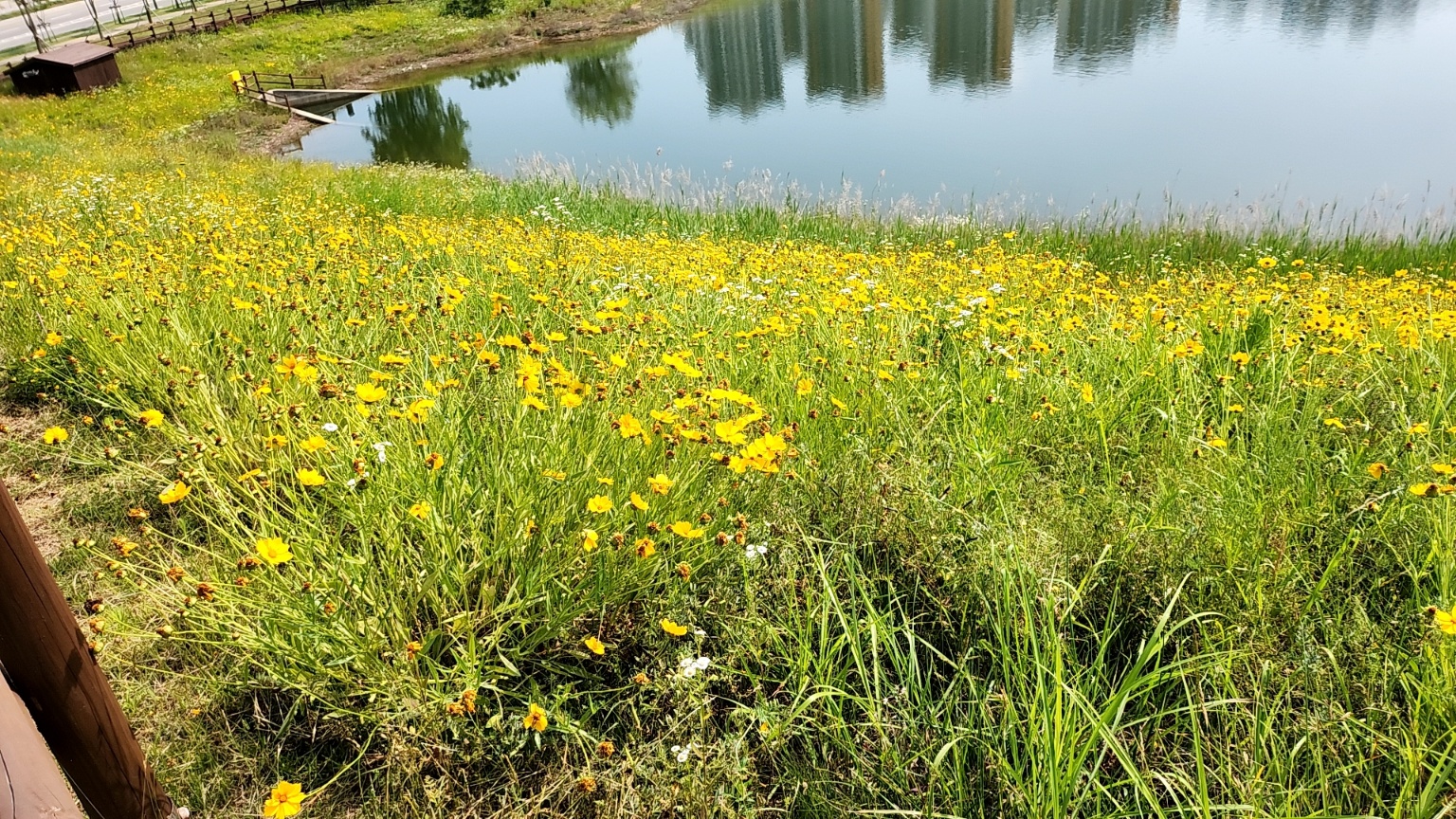 약해진 면역 체계