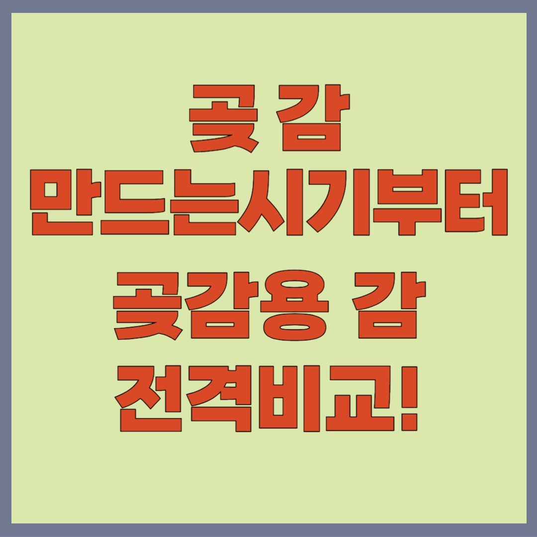 곶감 만드는 시기, 태추감, 대봉감, 반시...곶감용 감 전격 비교!