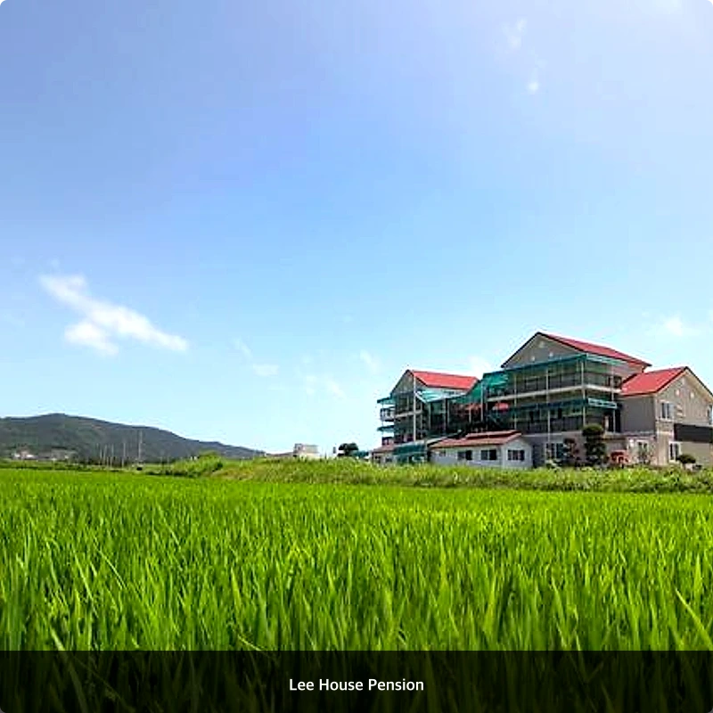 Lee House Pension_3