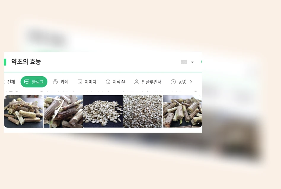 약초의 효능_1_subsection