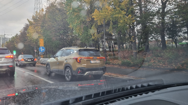 셀토스-발레그린-실물색깔