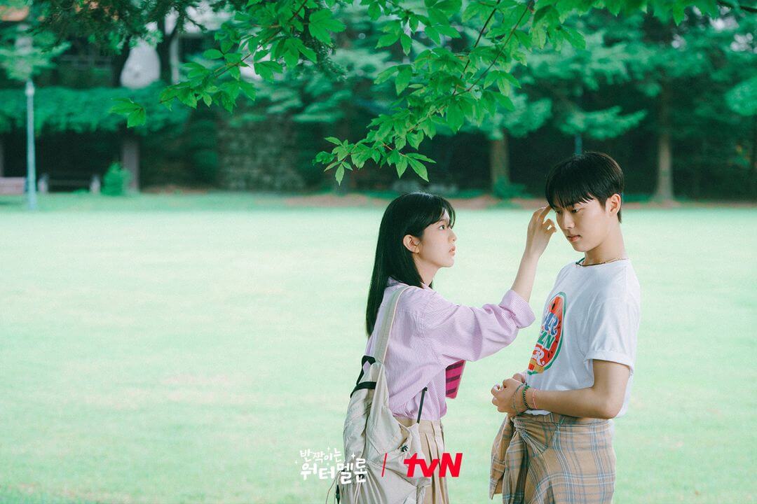 반짝이는 워터멜론