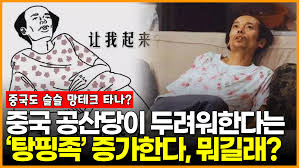 애국주의 중국청년들: 소분홍 및 탕핑족