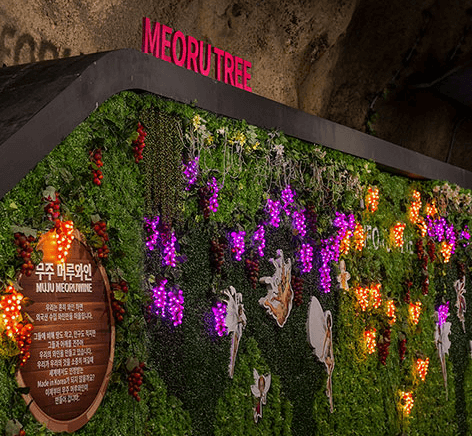 무주 반딧불 축제 생태체험