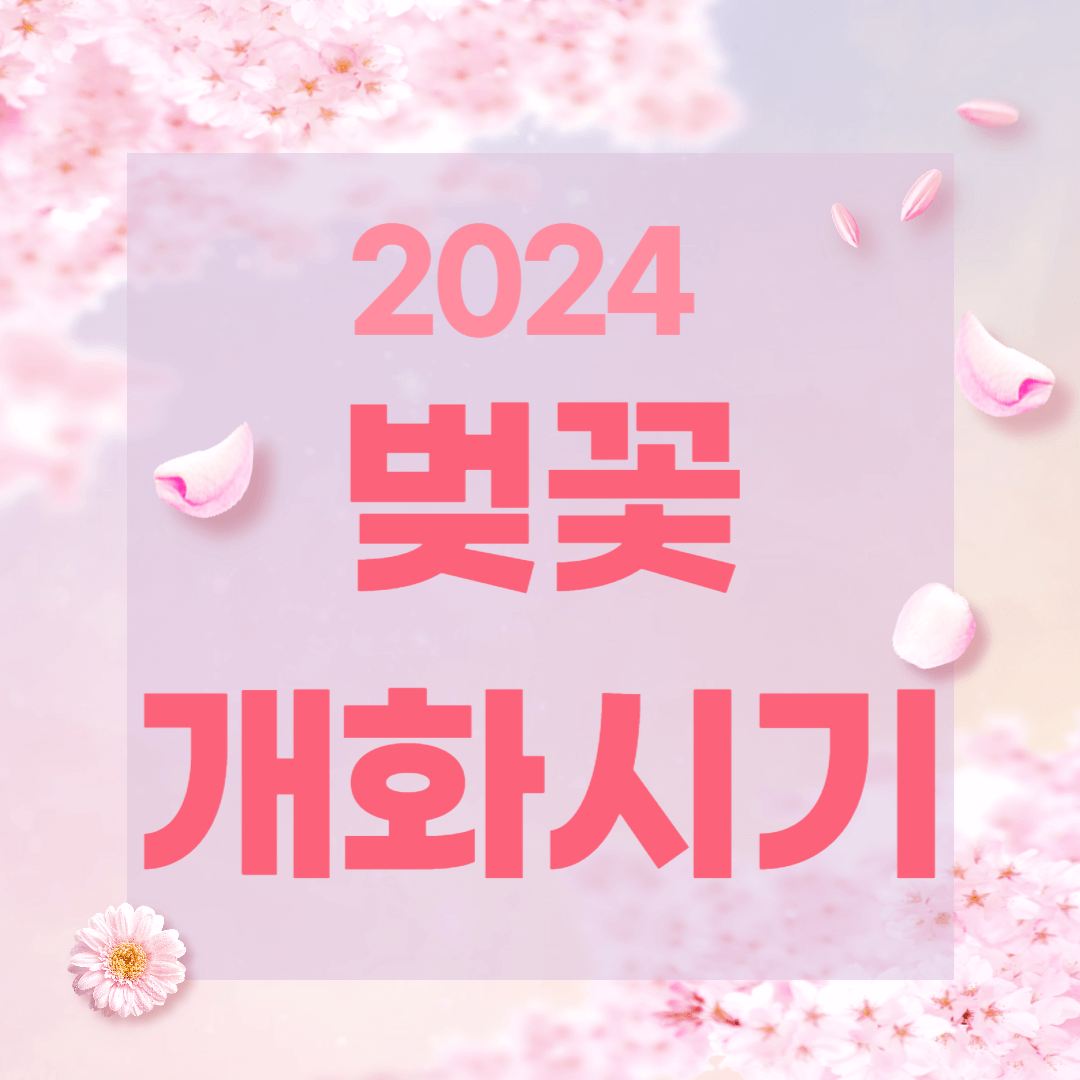 2024 벚꽃 개화시기