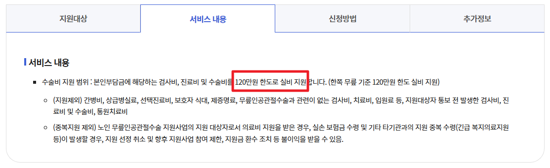노인무릎인공관절수술지원