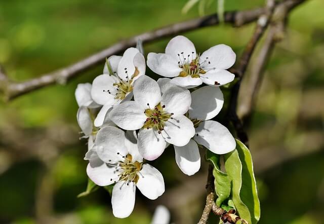 화담숲 입장료 예약