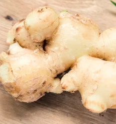 생강 효능 부작용 증상 영양성분 고르는법 칼로리