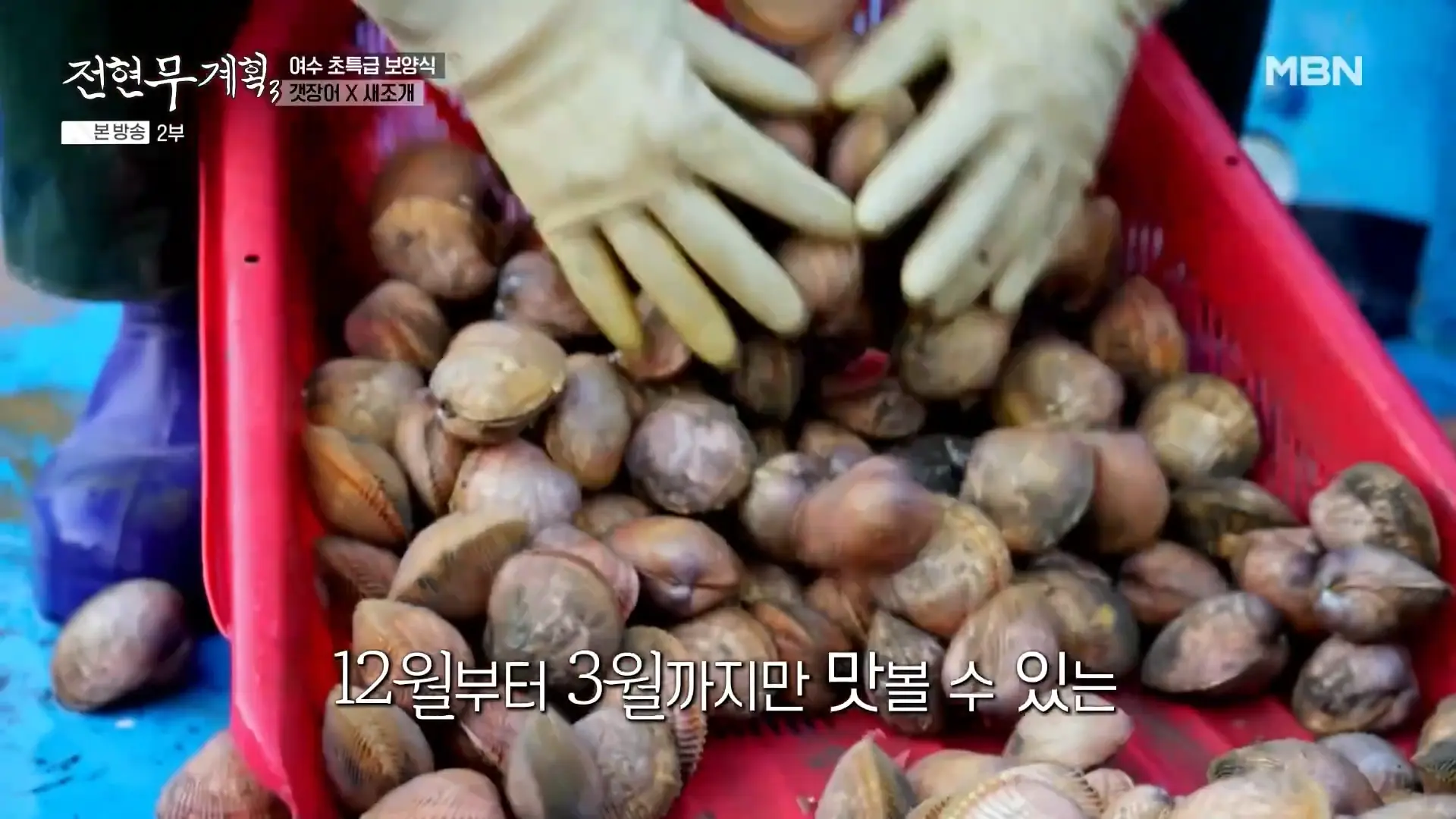 여수 새조개 샤부샤부