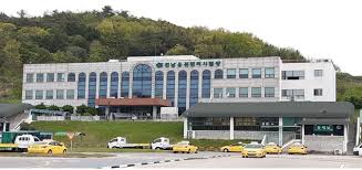 운전면허적성검사 갱신 온라인 신청방법