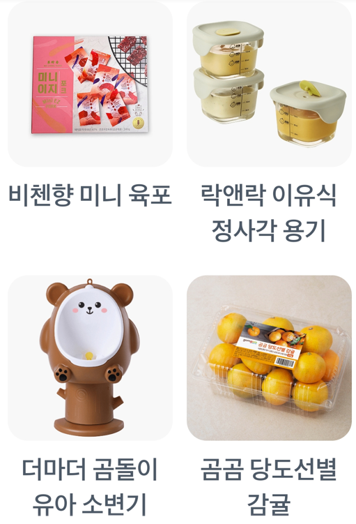 비첸향 미니 육포,락앤락 이유식 정사각 용기,더마더 곰돌이 유아 소변기,곰곰 당도 선별 감귤,