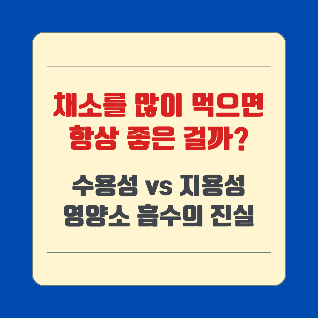 채소를 많이 먹으면 항상 좋은 걸까? 수용성 vs 지용성 영양소 흡수의 진실