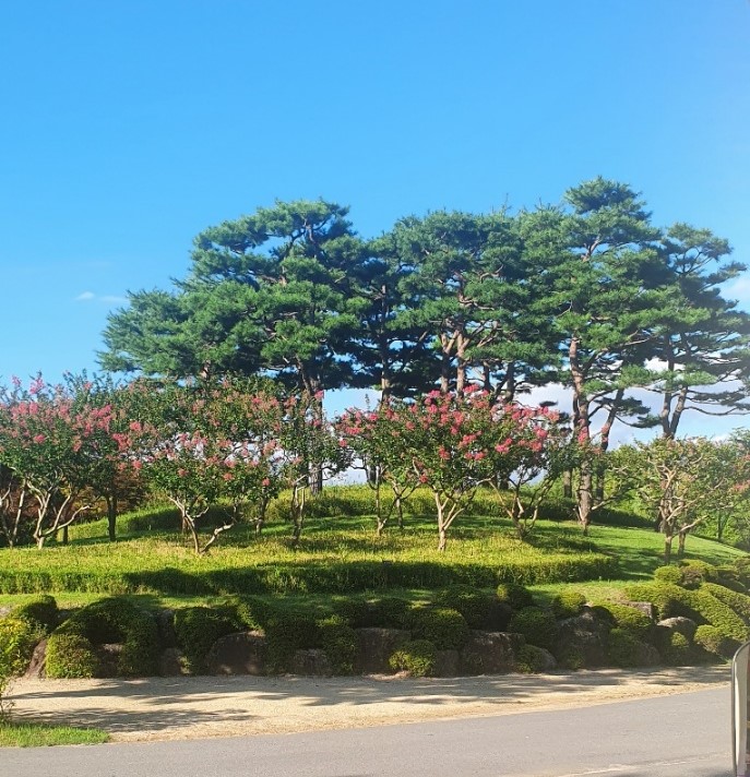 순천만국가정원 계절별 관람 꿀팁 완벽 정리