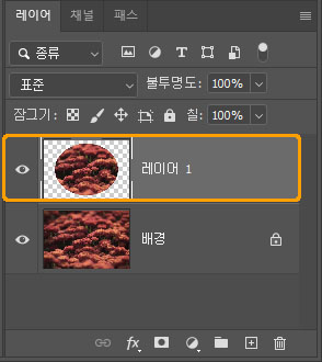 레이어를 복사한 모습
