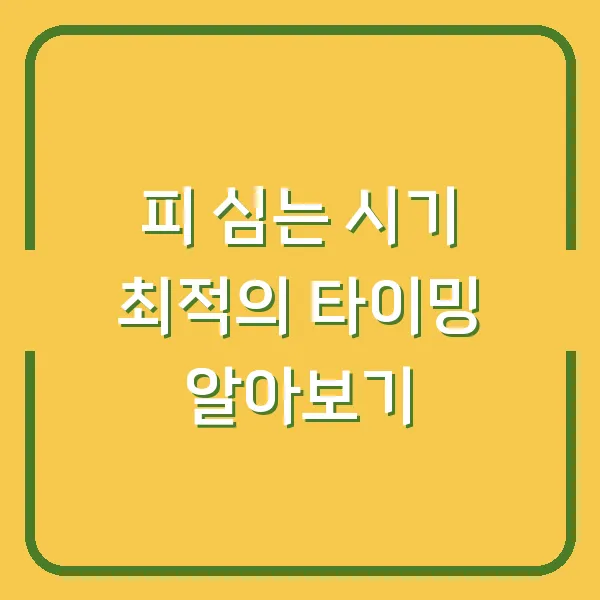 피 심는 시기 최적의 타이밍 알아보기
