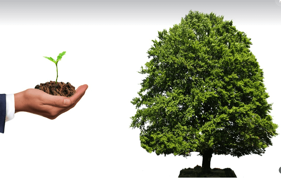 대전 지역화폐 사용처 정리 – 하나은행 대전페이 어디서 쓰나?