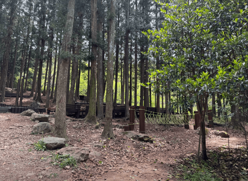 우드랜드 편백숲