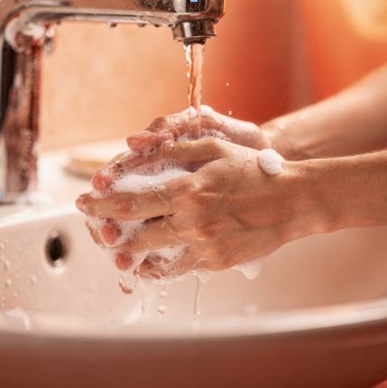 니파 바이러스 증상